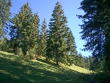 Zetea Nature Trail