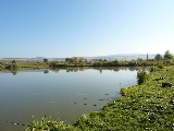 Sânpaul Fishing Lakes