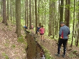 The Reverse Flow Stream