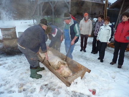 Taierea traditionala a porcului la Izvoarele! 