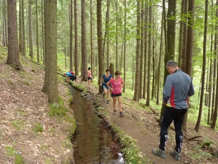 The Reverse Flow Stream